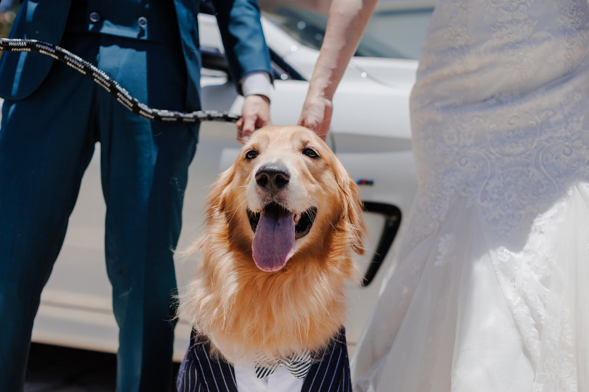 沖縄 シギラミラージュベイサイドチャペル リアルウェディング1486103 6月24日 13:00式