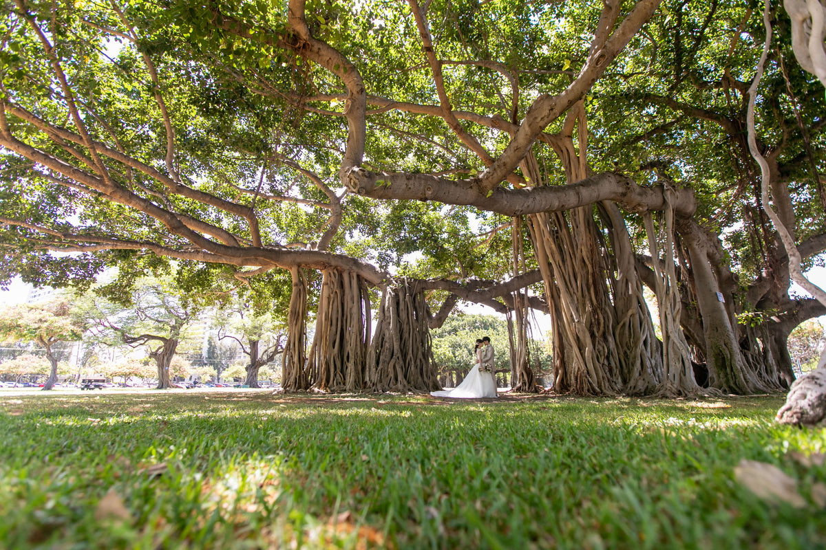 ハワイ コオリナ・チャペル・プレイス・オブ・ジョイ リアルウェディング 1458795 7月9日 9:00式