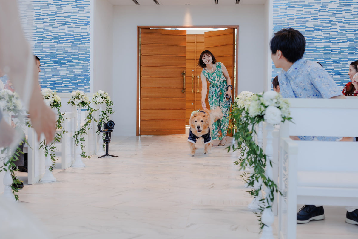 沖縄 シギラミラージュベイサイドチャペル リアルウェディング1486103 6月24日 13:00式