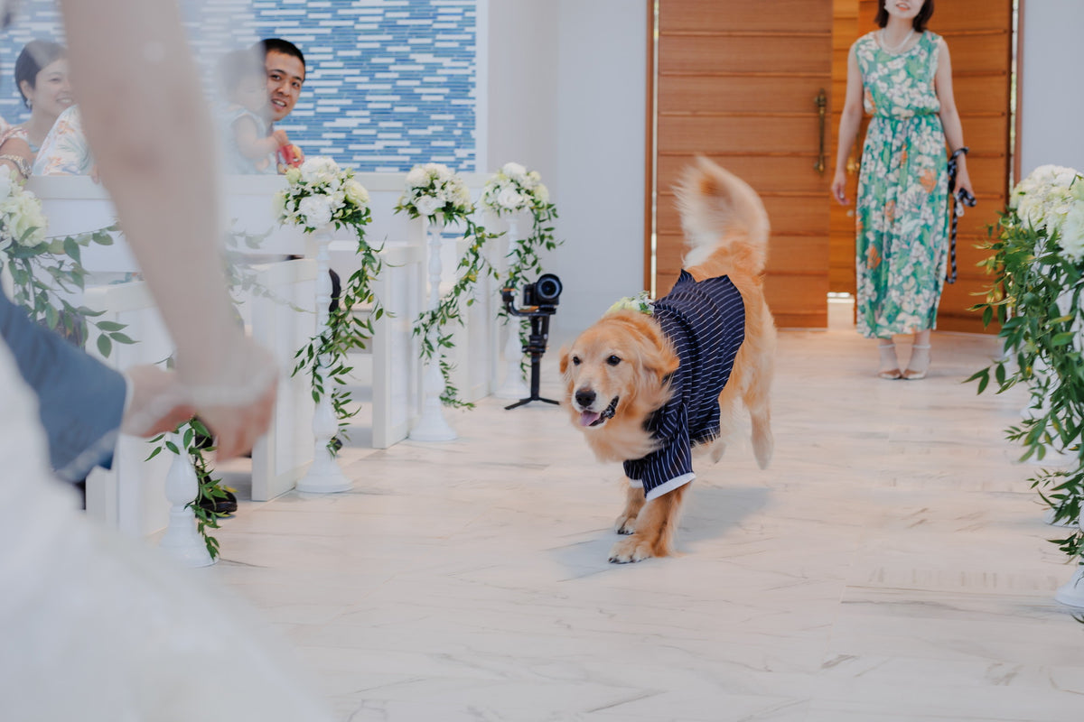 沖縄 シギラミラージュベイサイドチャペル リアルウェディング1486103 6月24日 13:00式