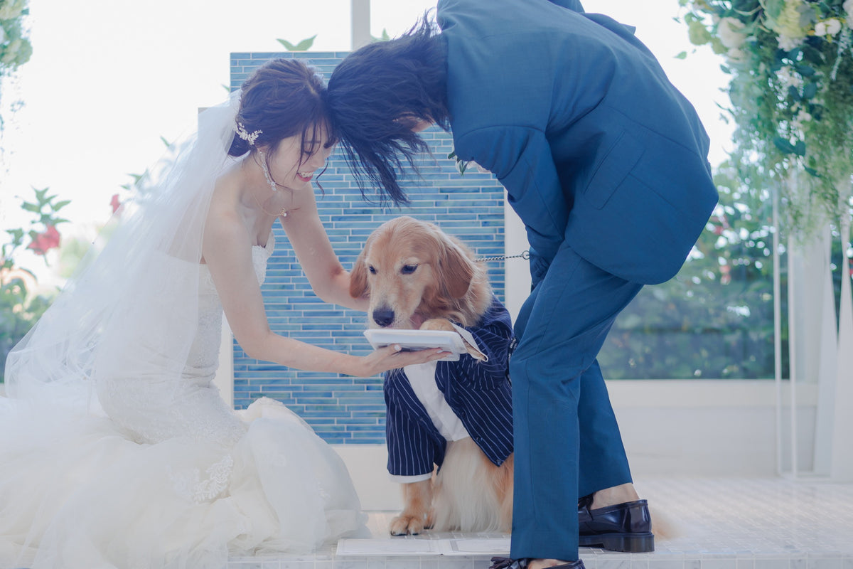 沖縄 シギラミラージュベイサイドチャペル リアルウェディング1486103 6月24日 13:00式