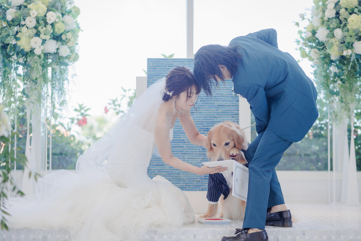 沖縄 シギラミラージュベイサイドチャペル リアルウェディング1486103 6月24日 13:00式