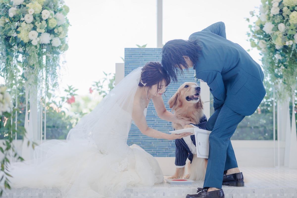 沖縄 シギラミラージュベイサイドチャペル リアルウェディング1486103 6月24日 13:00式