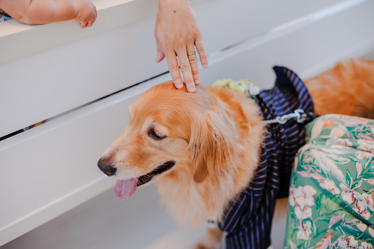 沖縄 シギラミラージュベイサイドチャペル リアルウェディング1486103 6月24日 13:00式