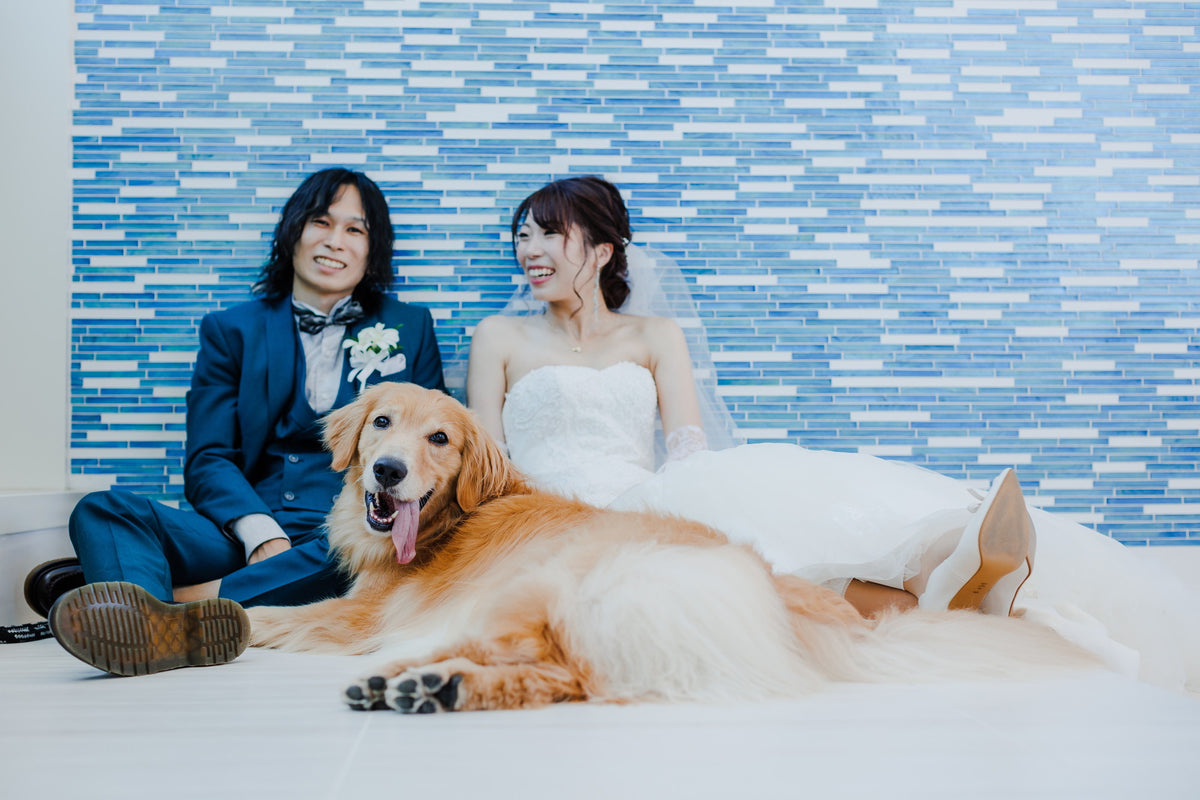 沖縄 シギラミラージュベイサイドチャペル リアルウェディング1486103 6月24日 13:00式