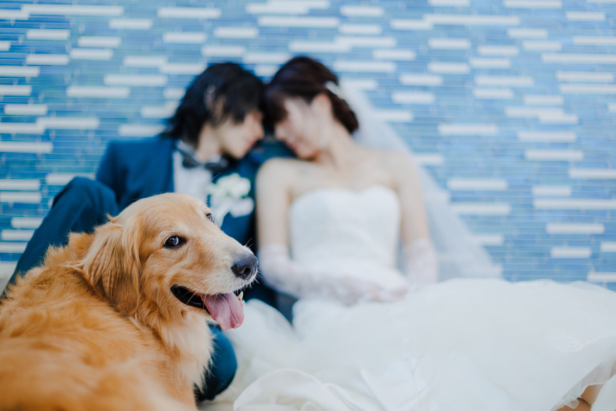 沖縄 シギラミラージュベイサイドチャペル リアルウェディング1486103 6月24日 13:00式