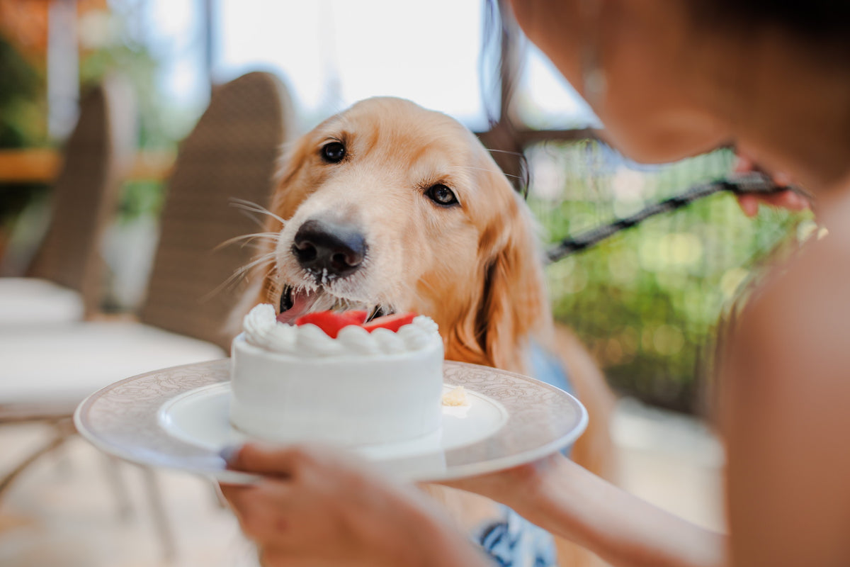 沖縄 シギラミラージュベイサイドチャペル リアルウェディング1486103 6月24日 13:00式