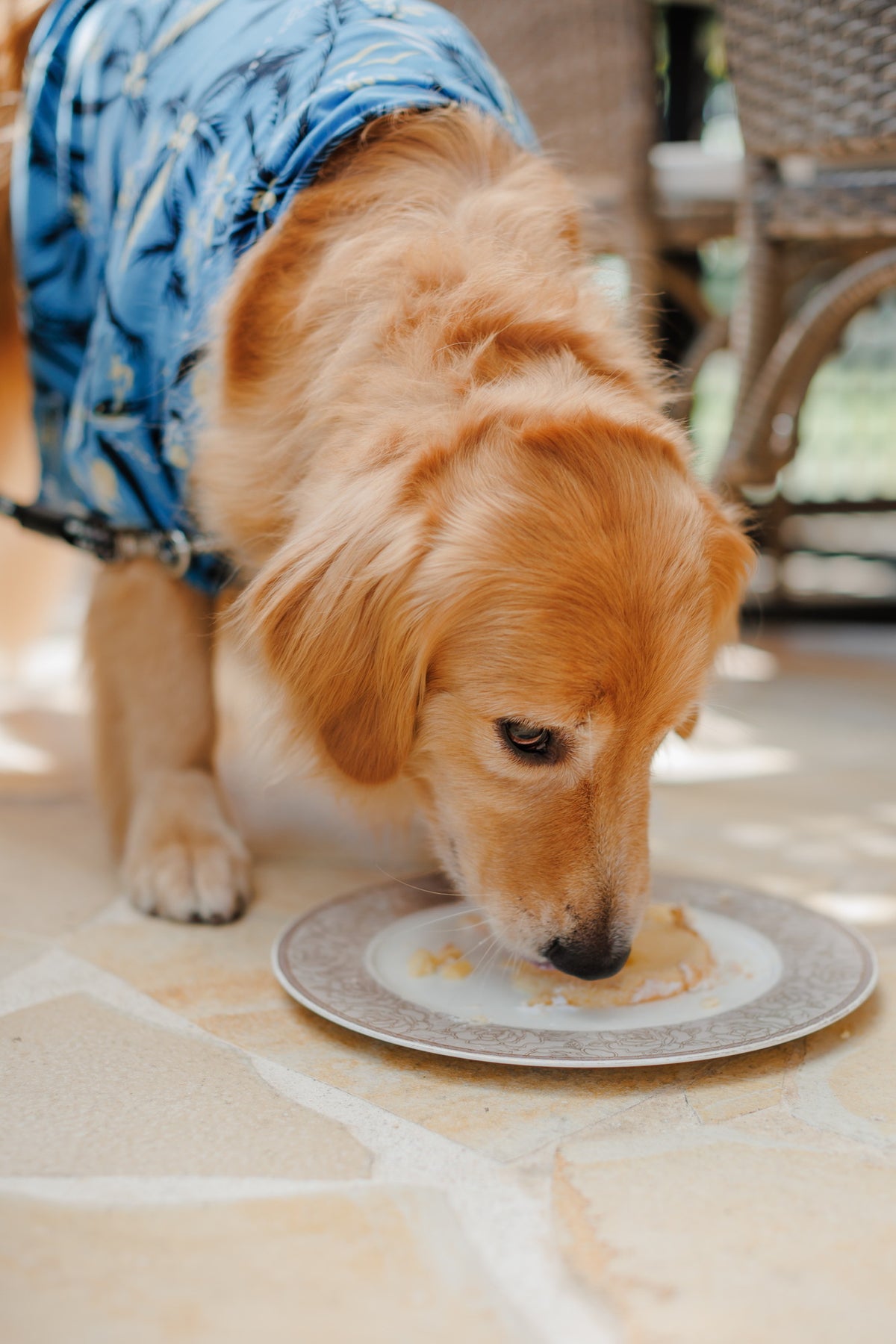 沖縄 シギラミラージュベイサイドチャペル リアルウェディング1486103 6月24日 13:00式