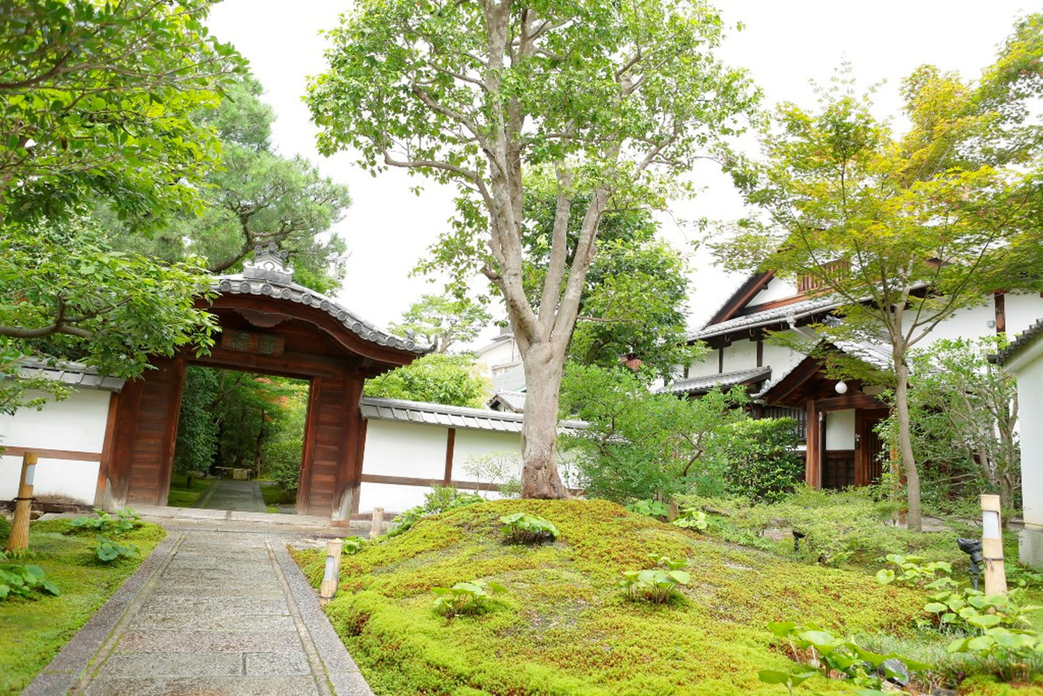 京都　圓徳院