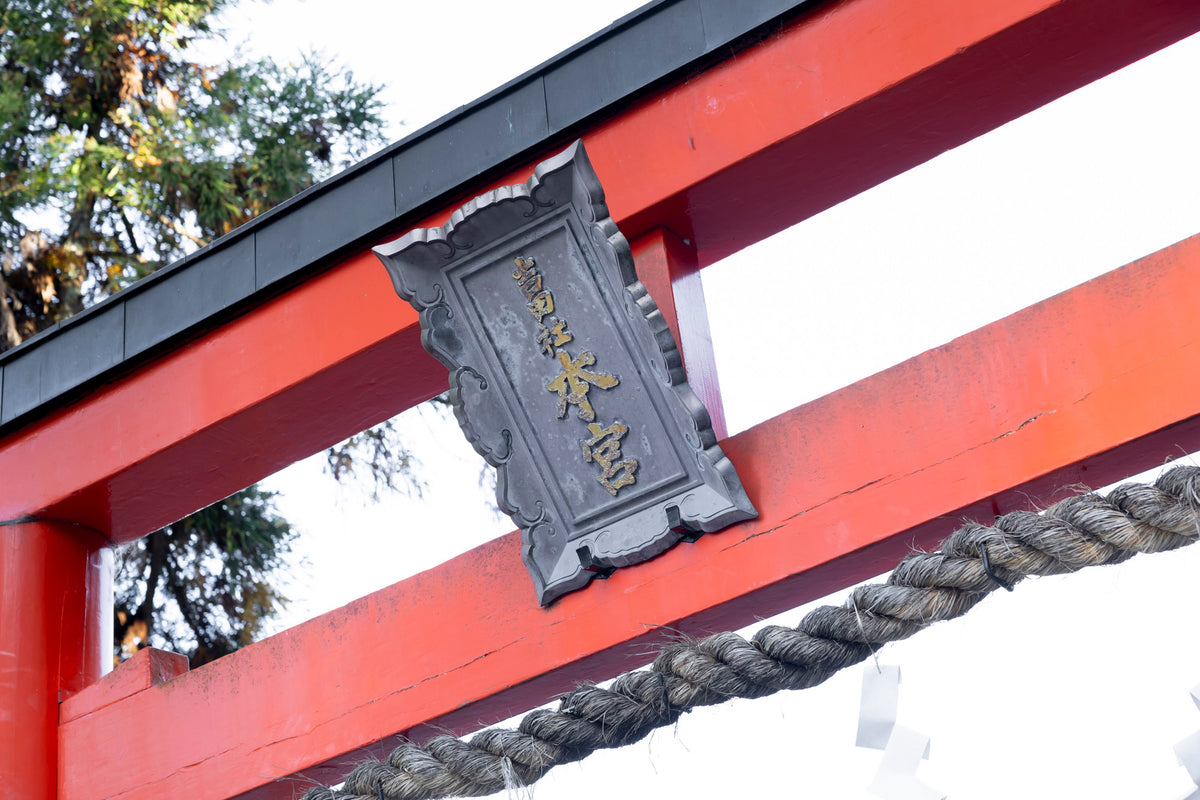 京都　吉田神社　リアルウェディング 1538285 11月30日 11:00式