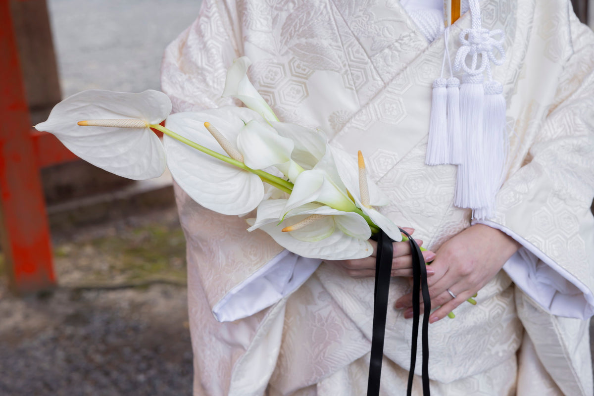 京都　吉田神社　リアルウェディング 1538285 11月30日 11:00式