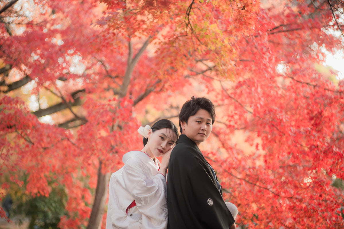 満開の紅葉