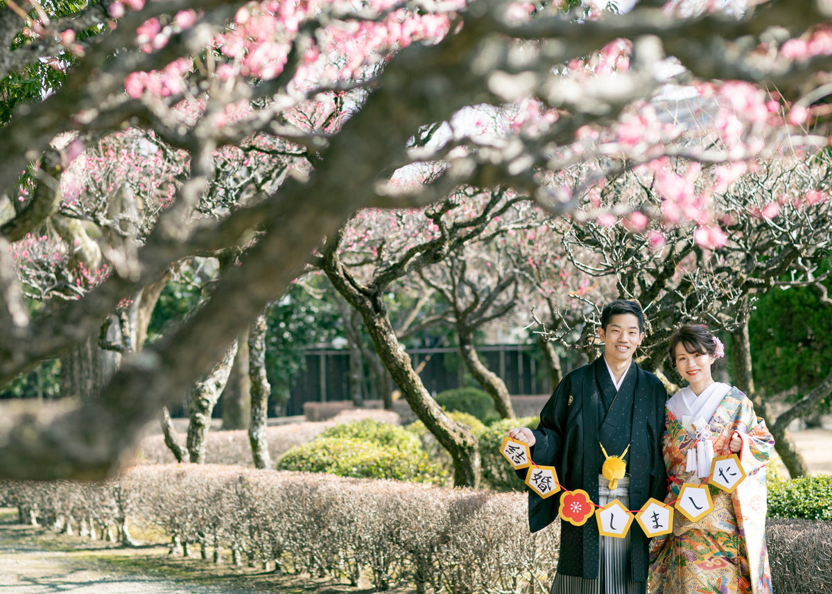 フォトスタジオ　フォトスタジオ 店舗　熊本フォトスタジオ　水前寺公園