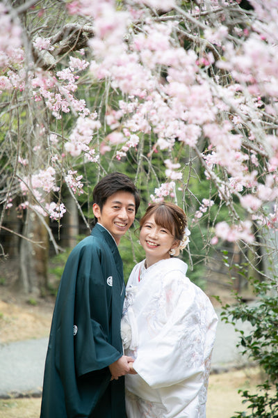 限られた期間の桜フォト