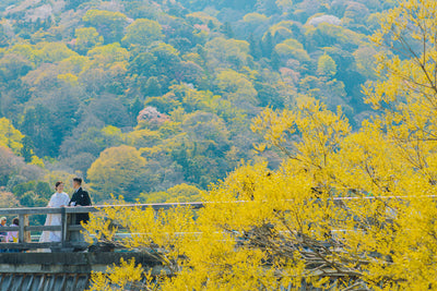 背後に広がる嵐山の紅葉