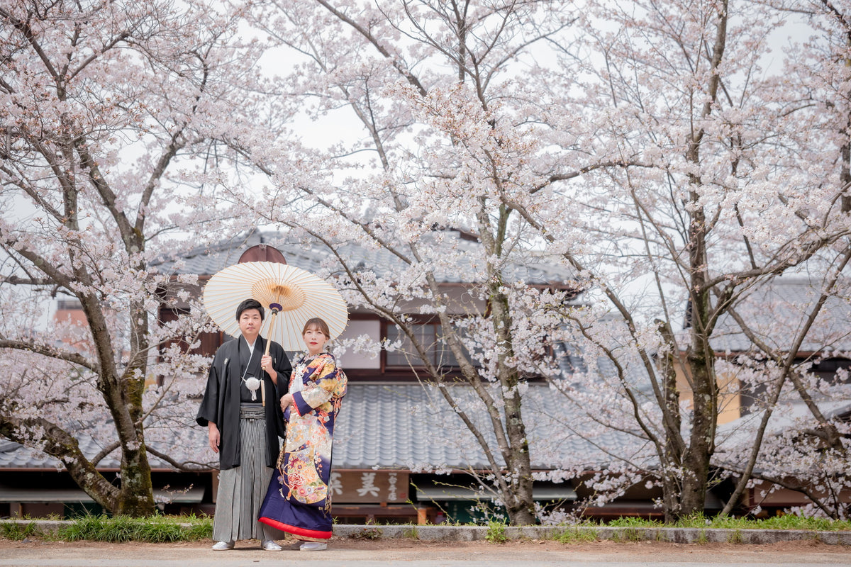 趣のある風景と桜