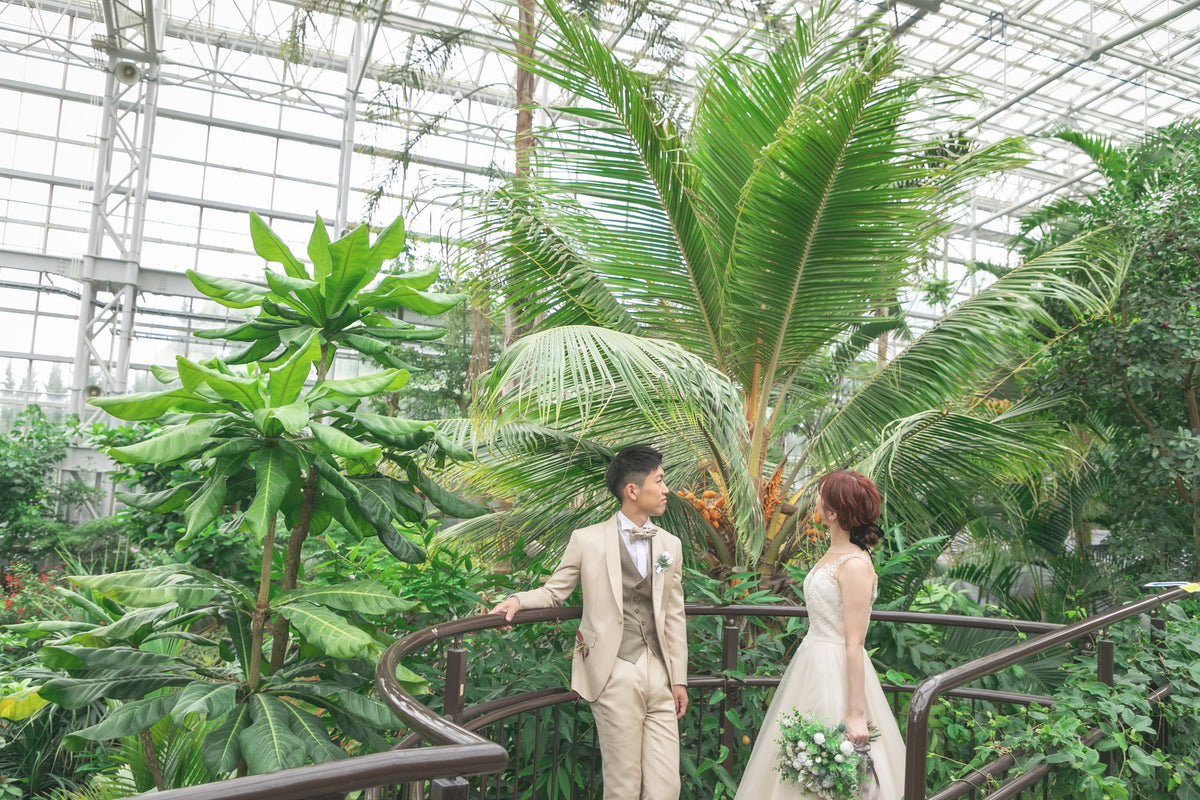 フォトスタジオ　フォトスタジオ 店舗　広島フォトスタジオ　植物公園