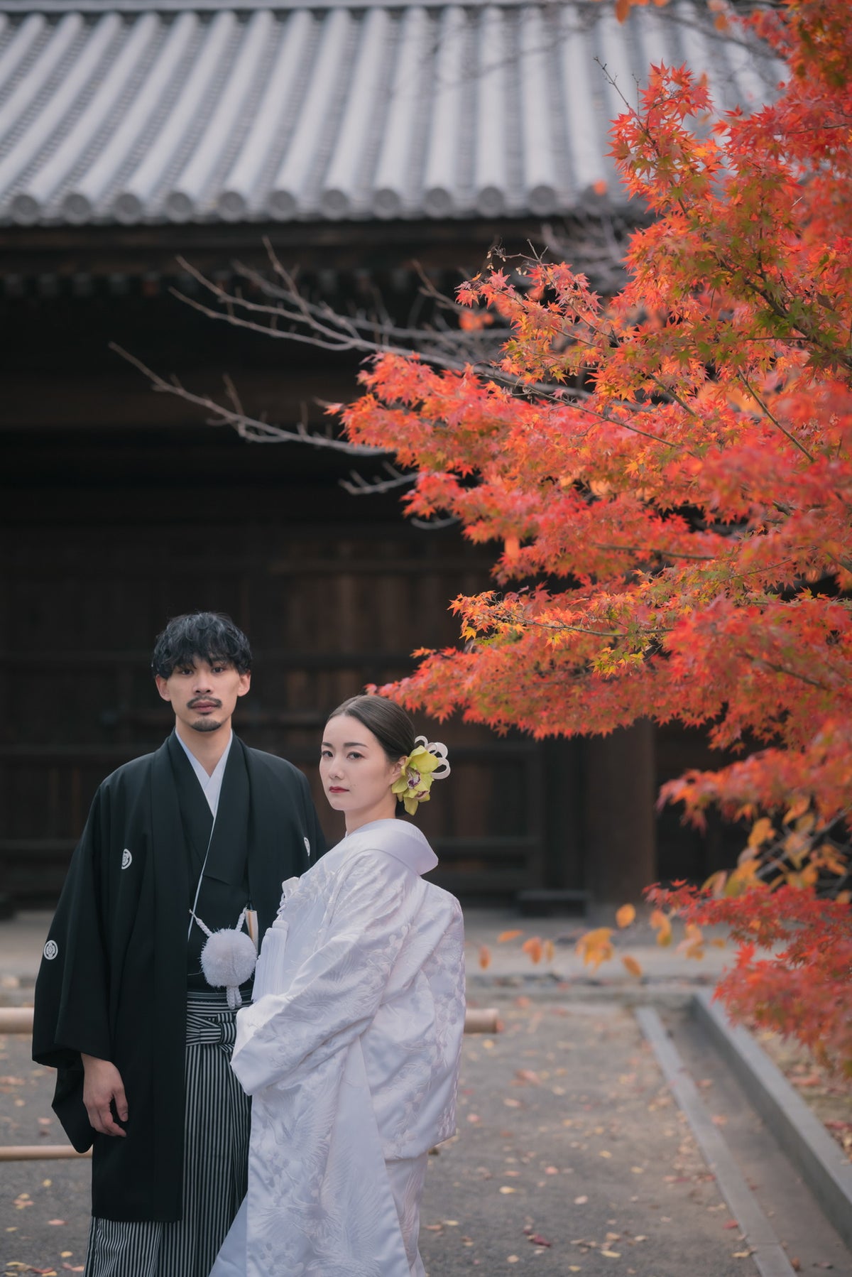 フォトスタジオ　フォトスタジオ 店舗　京都フォトスタジオ　ロケ　東寺