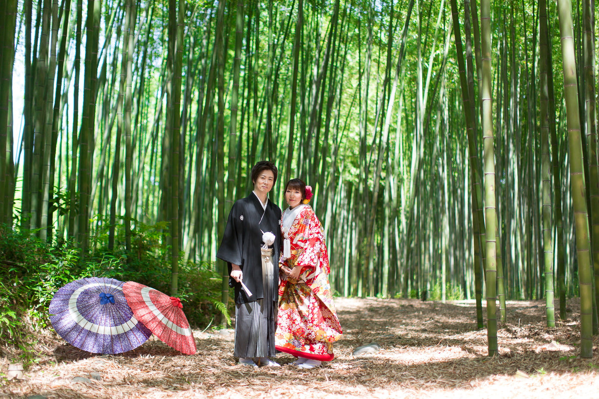 大覚寺のお寺裏の竹林