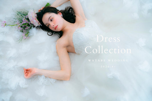 衣裳 ラインナップ ドレス ドレス_全集_差額