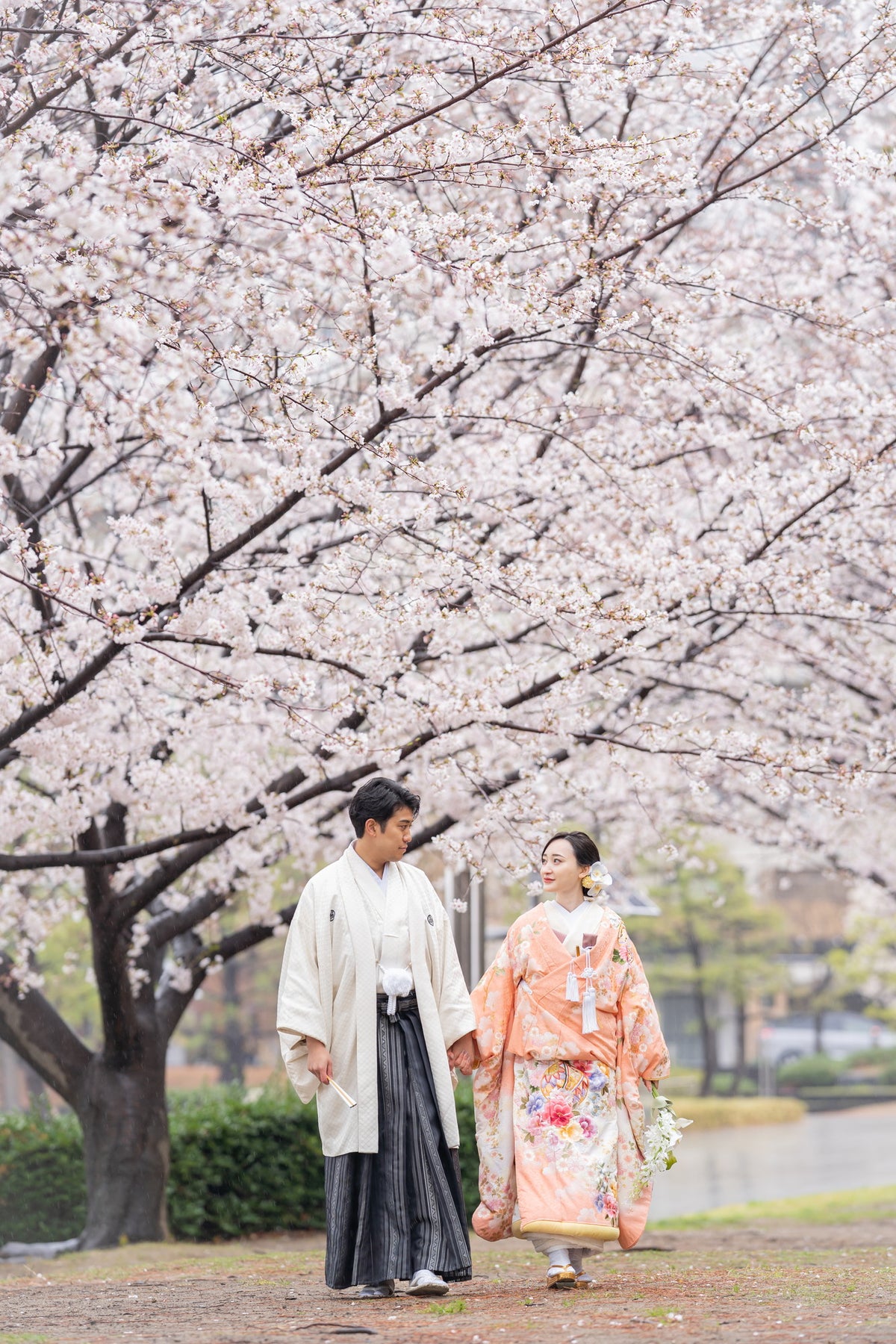 フォトスタジオ　フォトスタジオ 店舗　東京ベイフォトスタジオ　お台場海浜公園