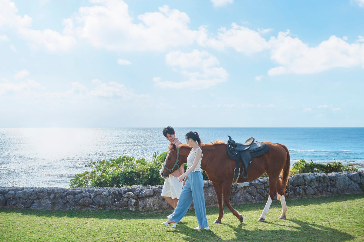 【 Gala 青い海 】絶景の海をバックに乗馬体験