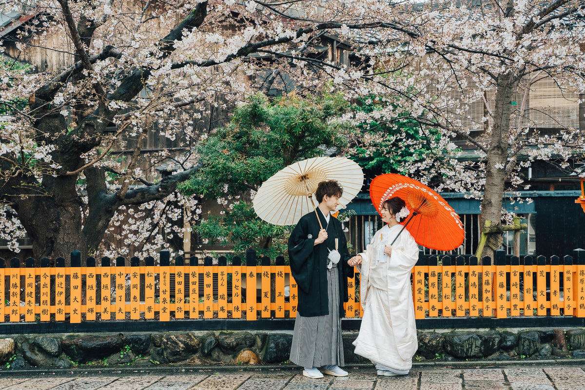 限られた期間の桜フォト