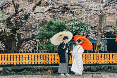 限られた期間の桜フォト