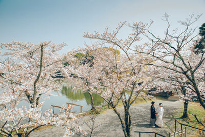 大沢池エリアには約700本桜や楓が植えられております