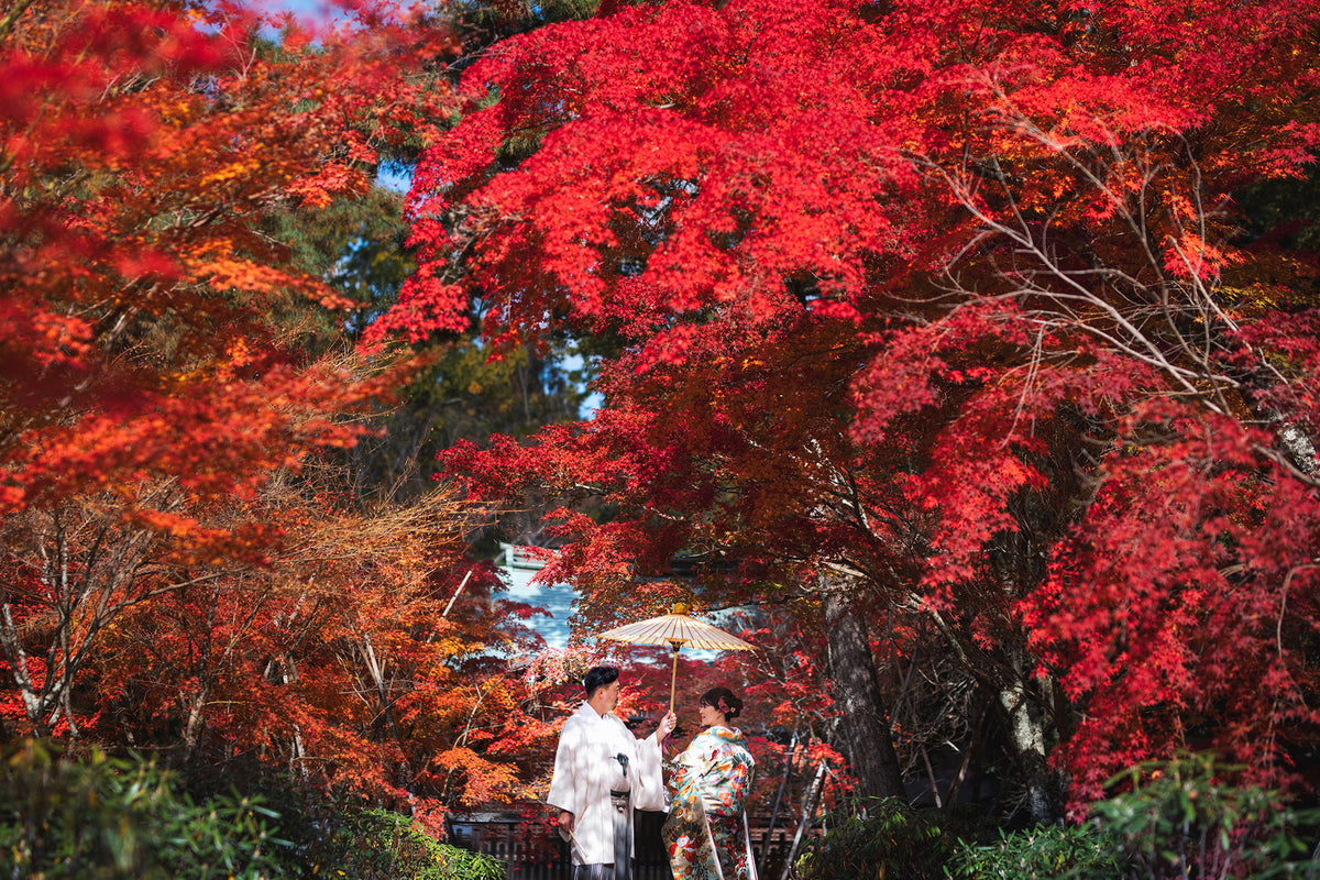 紅葉の見頃は11月中旬～12月上旬が目安