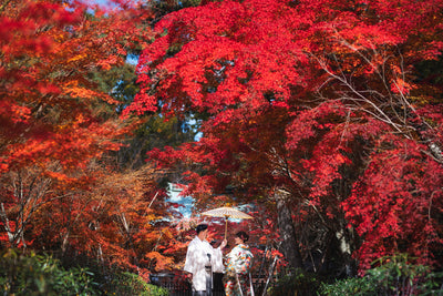 紅葉の見頃は11月中旬～12月上旬が目安