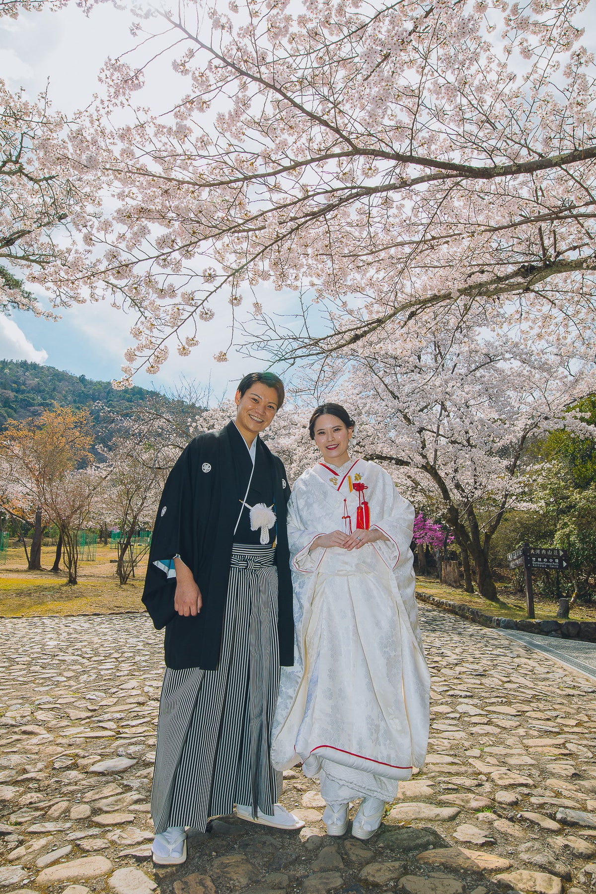 大人気の桜ロケーションフォト