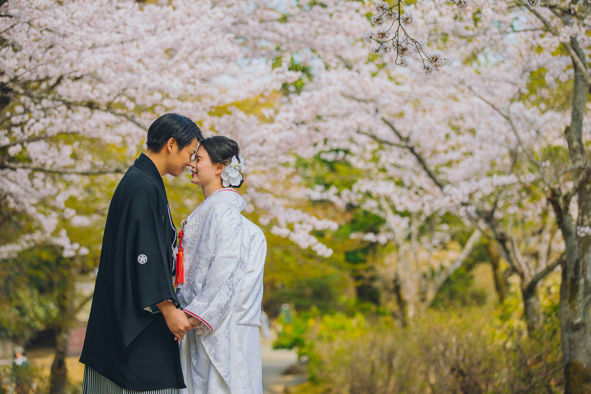 嵐山周辺では、渡月橋近辺のソメイヨシノから、遅咲きの山桜など多種多様