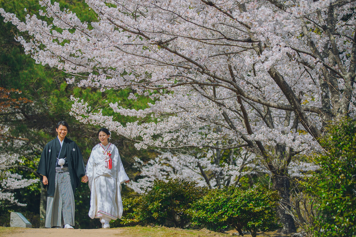 嵐山の美しい景色を見ながら撮影が楽しめます