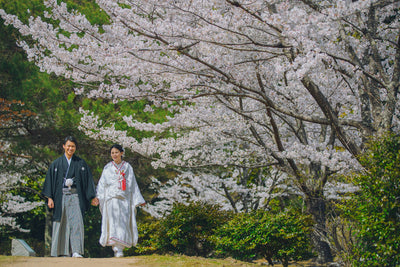 嵐山の美しい景色を見ながら撮影が楽しめます