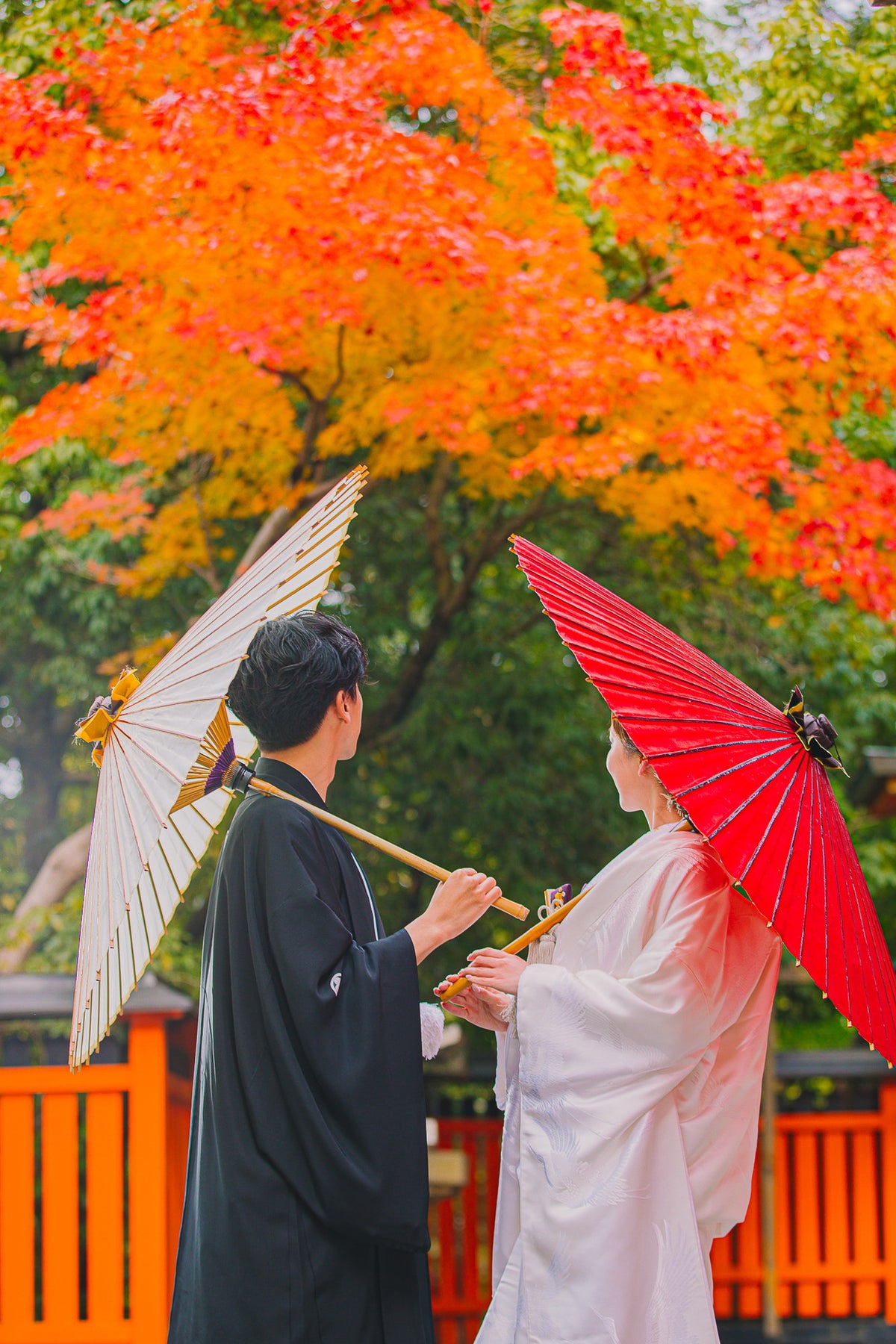 紅葉シーズンは鳥居の朱色と紅葉の赤・オレンジが重なり、圧倒的な華やかさ