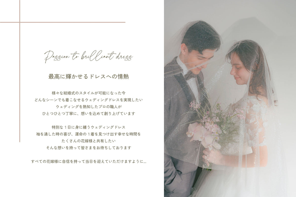 衣裳　ラインナップ　ドレス　ドレス_レンタル_定価