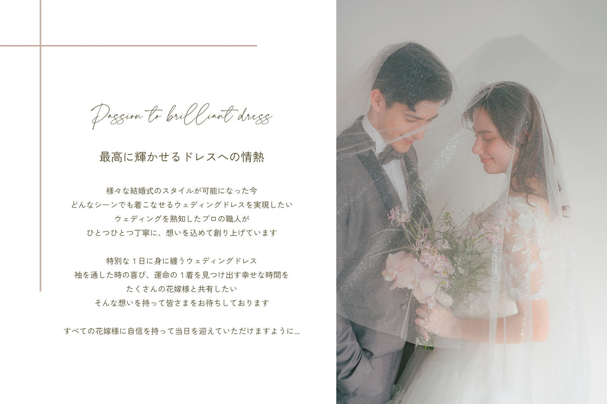 衣裳　ラインナップ　ドレス　ドレス_全集_差額