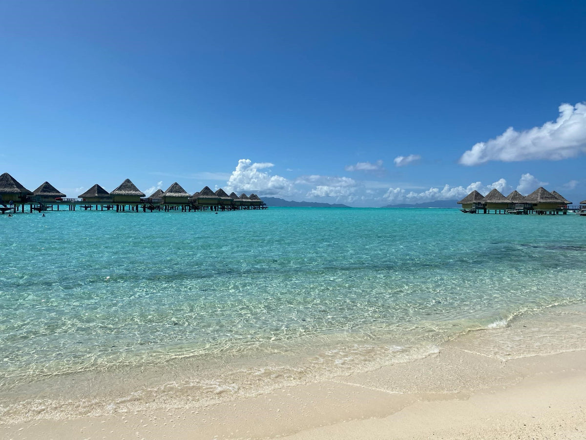 EASY　タヒチ　ボラボラ島　モアナ