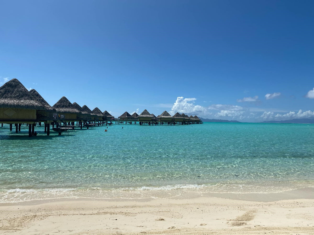 EASY　タヒチ　ボラボラ島　モアナ