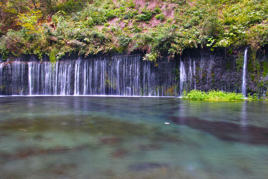 軽井沢　軽井沢の魅力