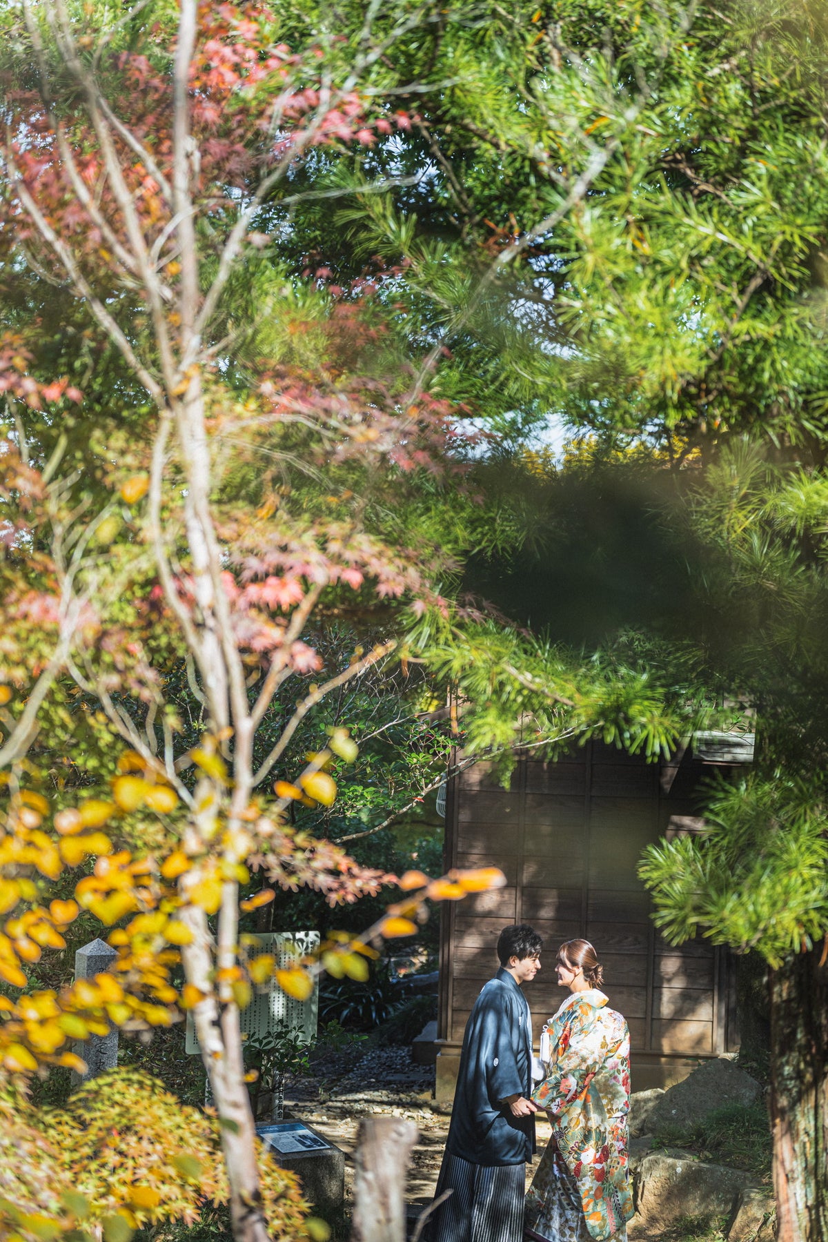 フォトスタジオ　フォトスタジオ 店舗　新前橋ベイフォトスタジオ　少林山達磨寺