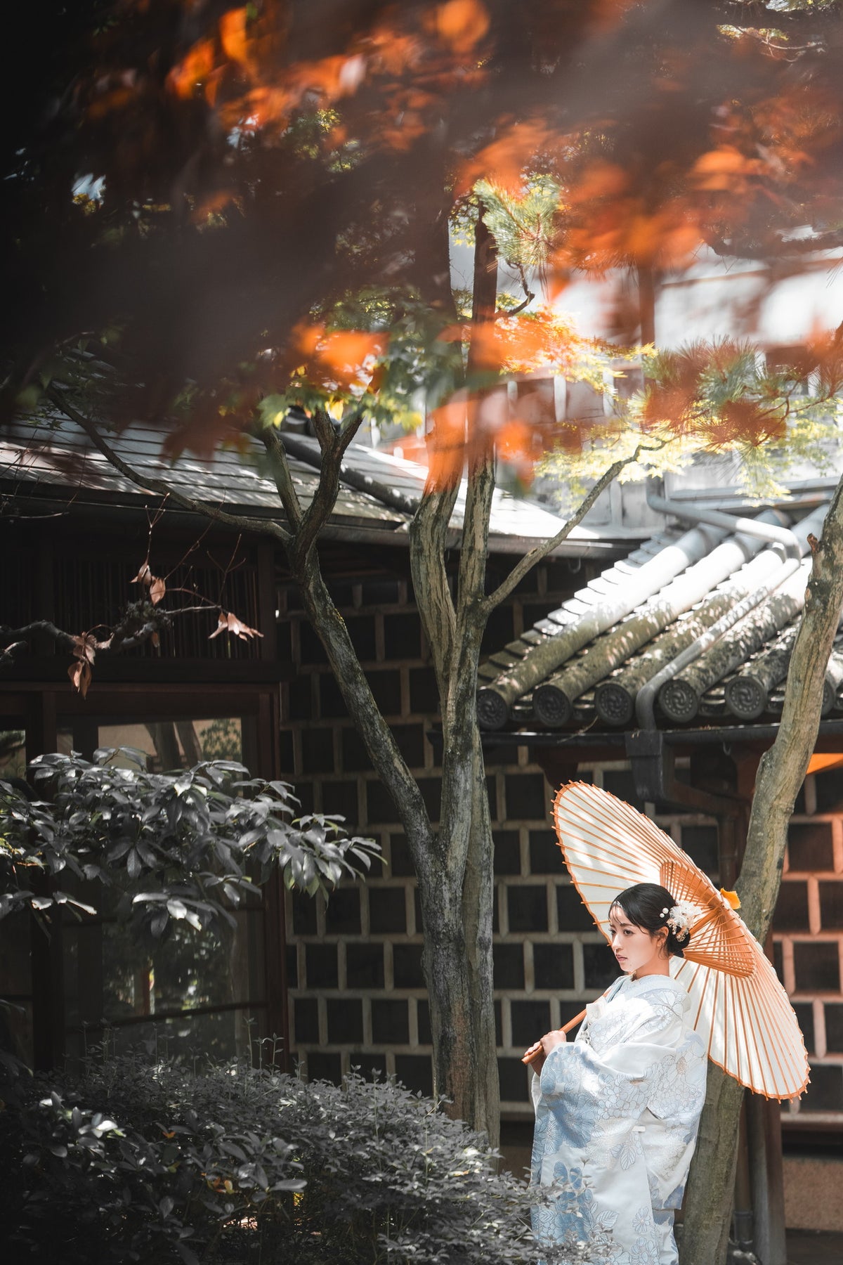 フォトスタジオ　フォトスタジオ 店舗　岡山フォトスタジオ　いかしの舎