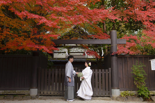 京都 下鴨神社 リアルウェディング 1467394 11月24日 13:00式_youhatsu_wataboushi
