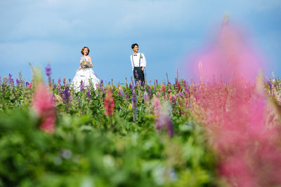 丘陵地に広がる10万㎡の広大な敷地で、色とりどりの季節の花が楽しめる観光農園