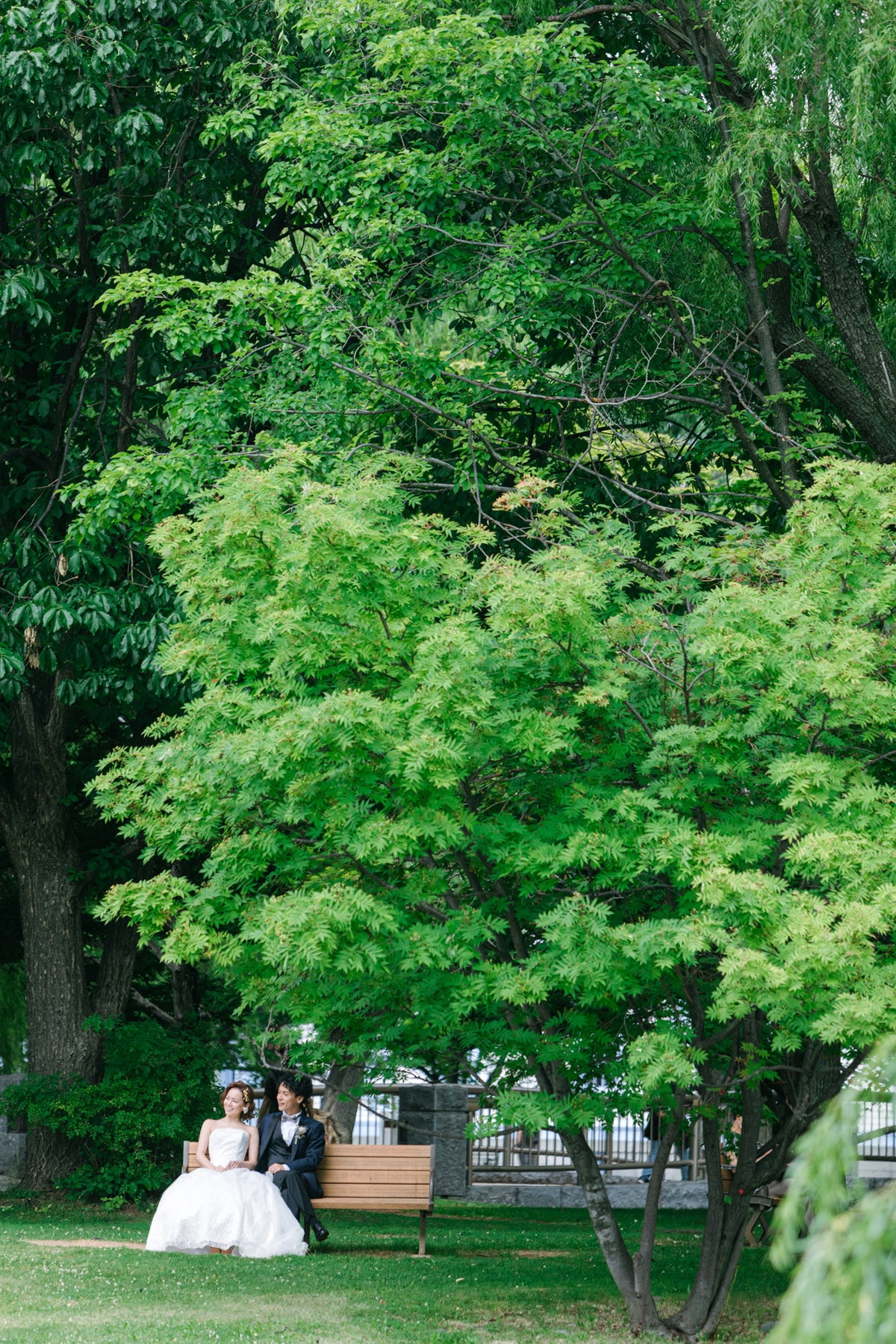 フォトスタジオ　フォトスタジオ 店舗　札幌フォトスタジオ　中島公園
