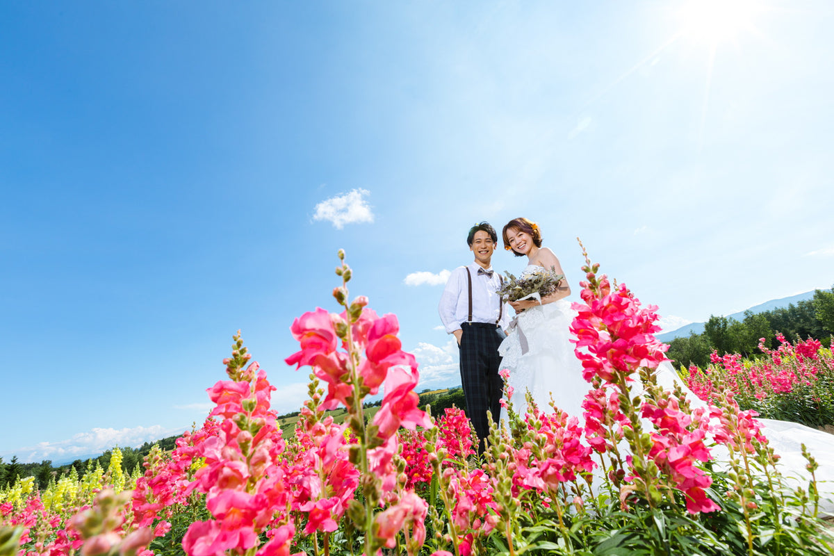 雄大な十勝岳を背景に、広大な花畑にたくさんのお花が色とりどりに咲き誇る美しい風景を楽しめます