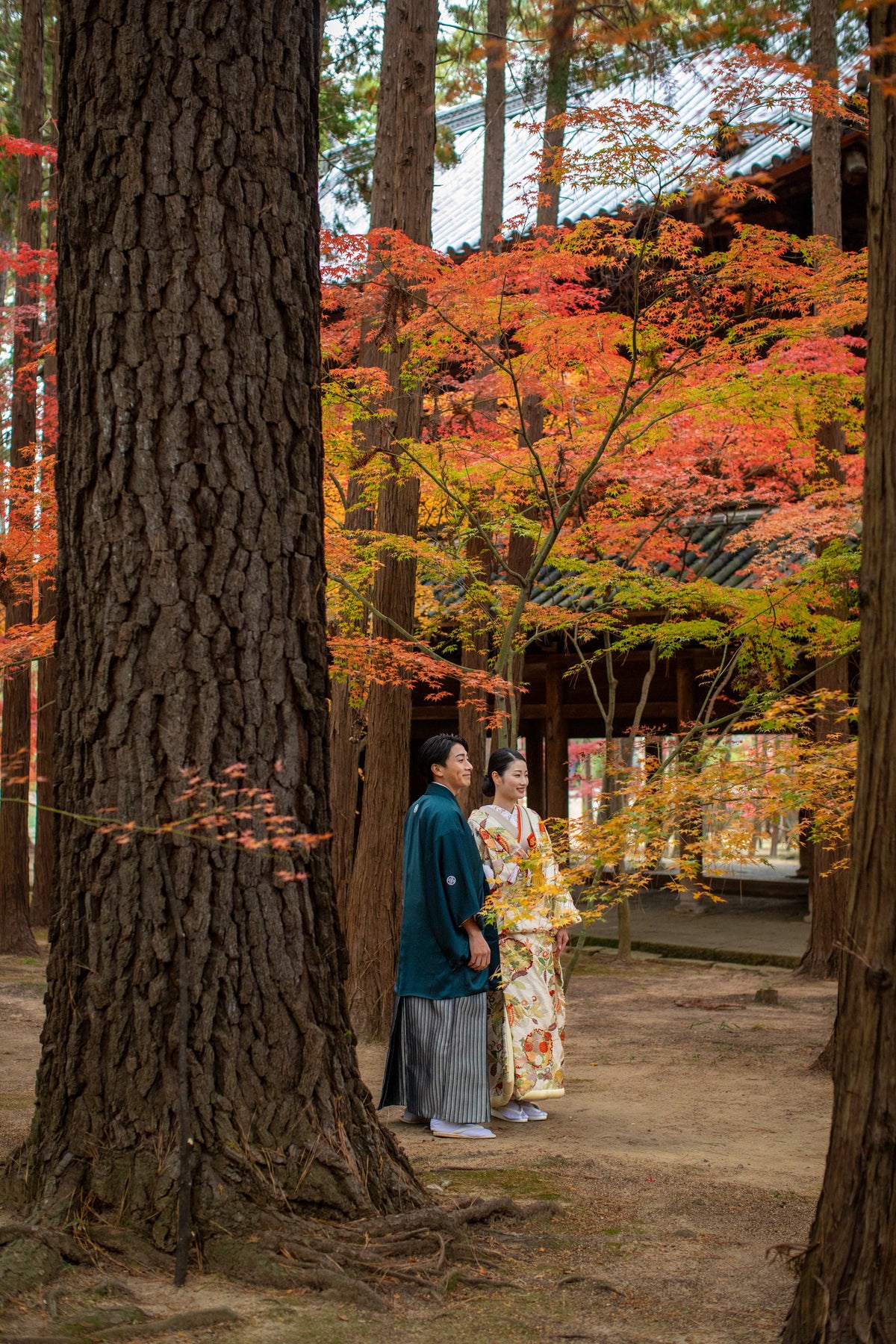 フォトスタジオ　フォトスタジオ 店舗　岡山フォトスタジオ　曹源寺