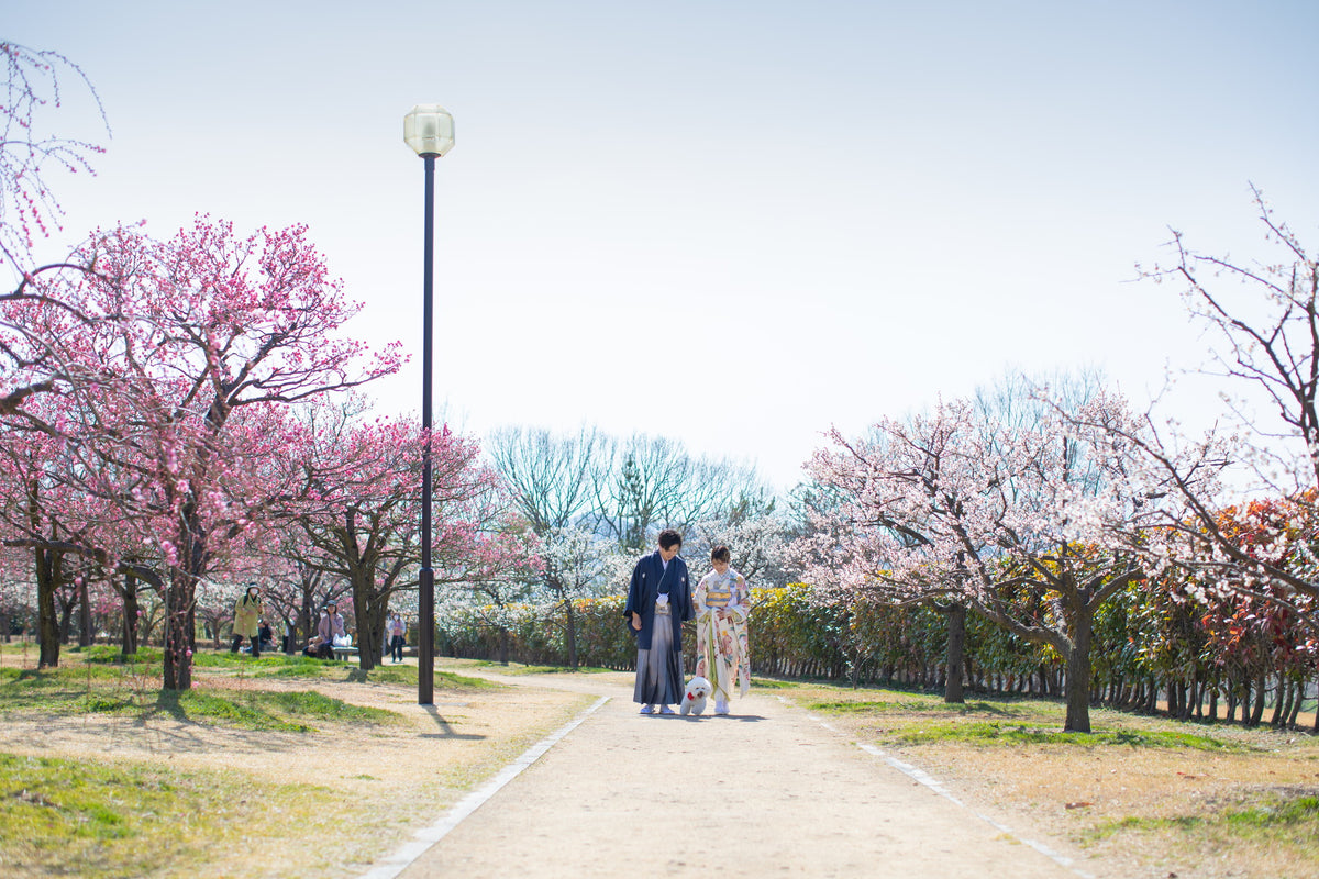 フォトスタジオ　フォトスタジオ 店舗　岡山フォトスタジオ　神崎梅園