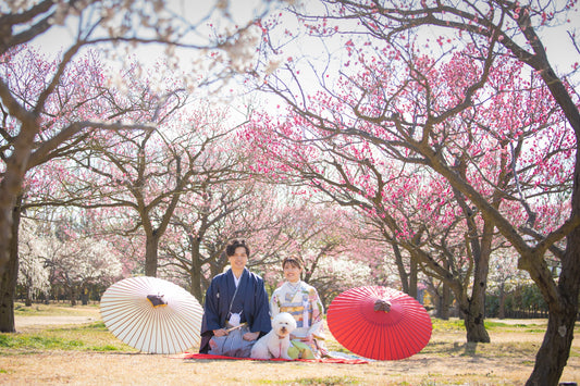 フォトスタジオ　フォトスタジオ 店舗　岡山フォトスタジオ　神崎梅園